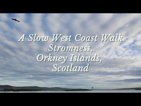 A Quiet Orkney Winter Walk on a Blustery Day - Stromness, West Coast, Orkney Islands Walks, Scotland