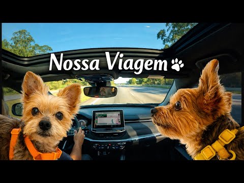 Viagem em familia 🐶🐾🚗 | Águas de Santa Bárbara - Santa Bárbara Resort Residence