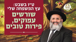 ט"ו בשבט: עץ המשפחה שלי – שורשים עמוקים, פירות טובים | הרב ישראל אברג'ל שליט"א