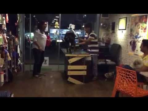 Dog training @ its best with Arzoo Shah n Hitler ( dobman ) @ PET FREAKK