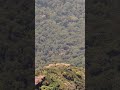 Velliangiri Hill Sadhguru Spot Coimbatore