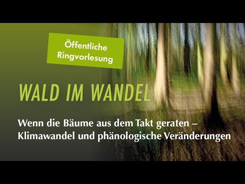 Wenn die Bäume aus dem Takt geraten: Klimawandel und phänologische Veränderungen | Ringvorlesung