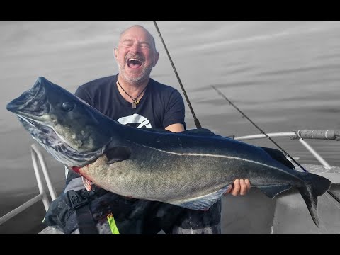 SOMMAROY 2023 "Fische der Extreme" Angeln in Norwegen