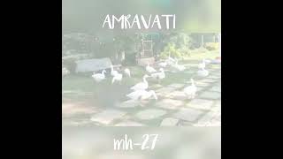 Mazi Amravati #amravatikar #firstvdo