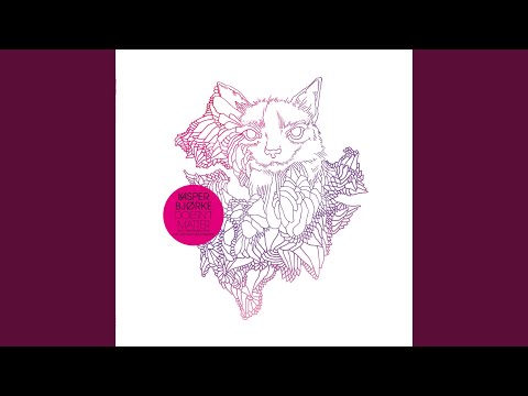 03 Kasper Bjorke - Doesn't Matter (Trentemoller Remix)