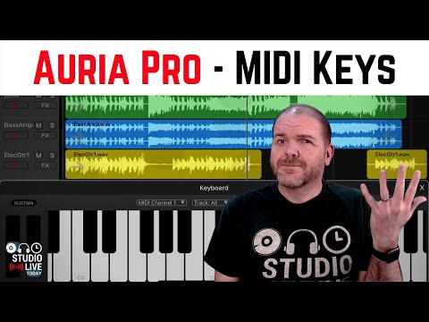 Auria Pro | MIDI keys time! 🎹