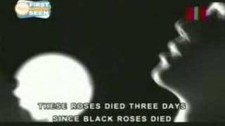 chicosci-seven black roses