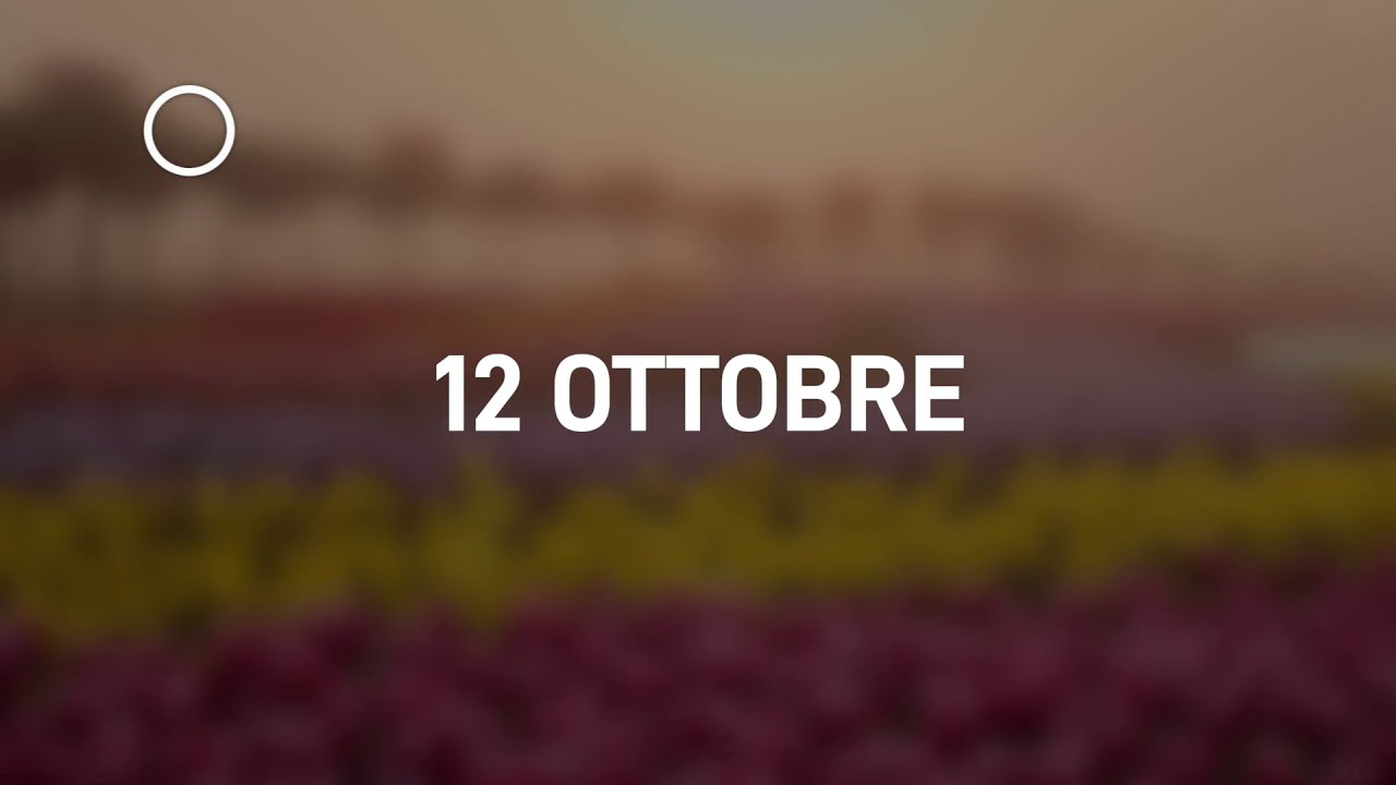 12 Ottobre 2024 | Meditazione Parole di Vita