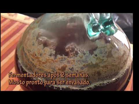 Cerveja Artesanal Amber Ale