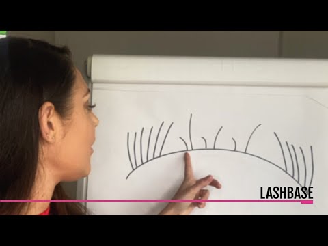 Lash Direction Tutorial - LashBase