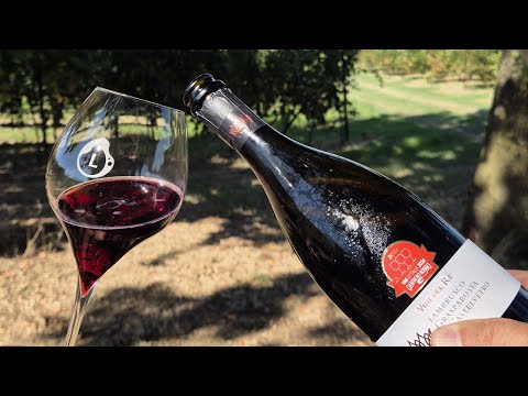Castelvetro: alla scoperta del Lambrusco Grasparossa