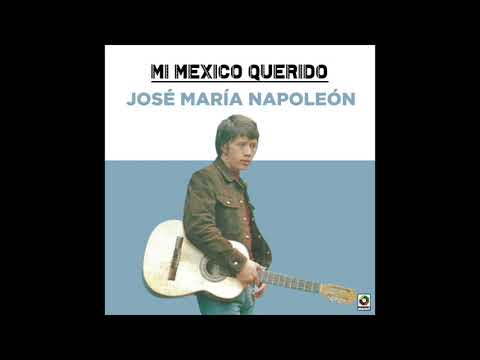 Napoleón - El Grillo (Audio Oficial)