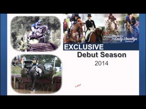 Exclusive - Eventing Stallion