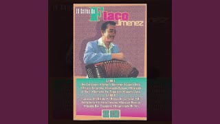 Borracho Fui Tequilero