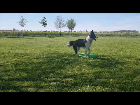 2021 0905 Winnie Sitzposition halten auf dem Pad