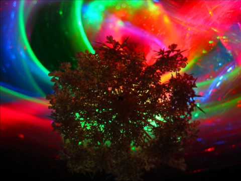 CosaNostra vs Nature Disaster - funky feve