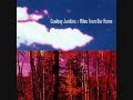 Cowboy Junkies :: New Dawn Coming