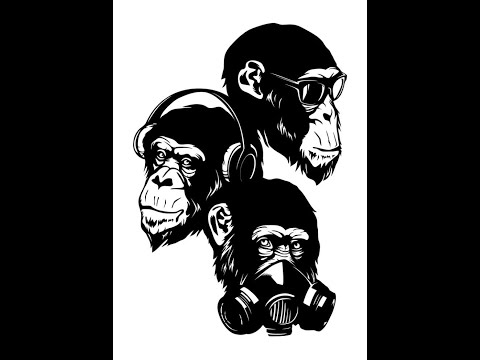 DJane Shamain - 3 Monkey´s