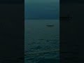 Is Jag Me Jitne Julm Nhi Utne Sahene Ki Takat H Whatsapp Status Shorts Motivation Viralvideo