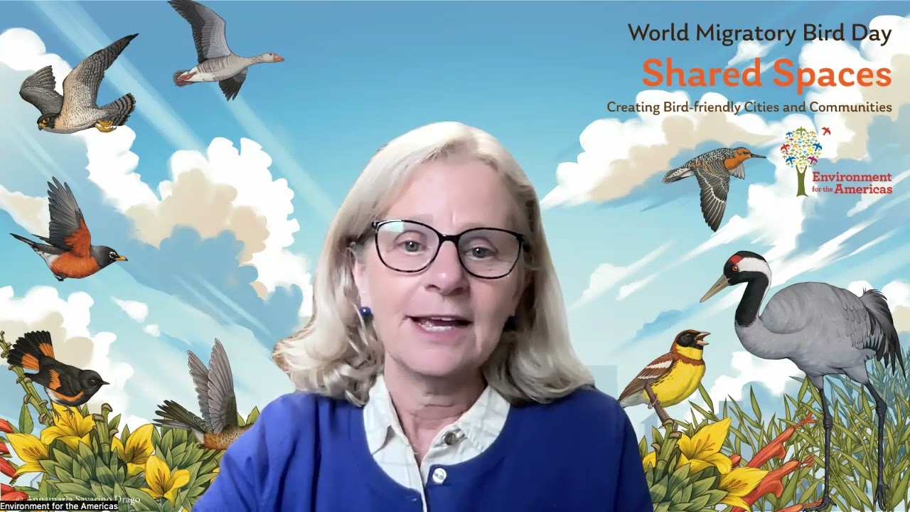 30 Years of AEWA – Statement by Ms Susan Bonfield, EFTA