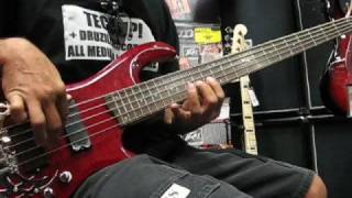 Video thumbnail for Traben Array 5 String bass by universalrenote