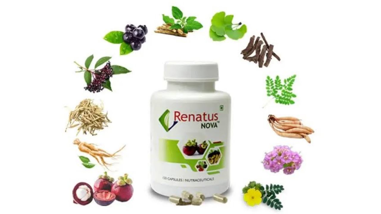 Health Session Day 3/ NEW RENATUS NOVA Herbal Dietary Supplement 12 Ingredients in Hindi.
