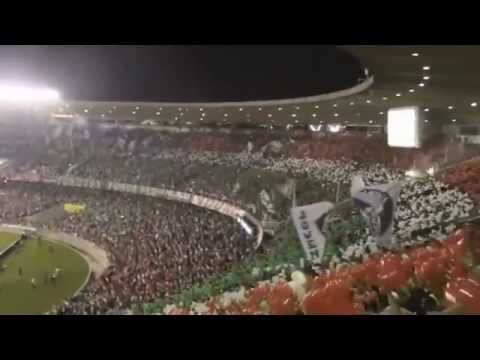 A melhor e mais bonita torcida do mundo