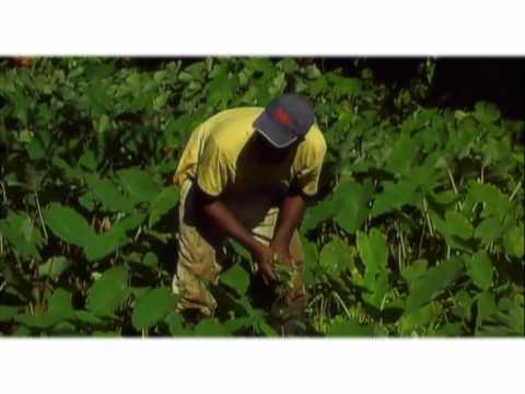 Clip bigjay & little espion - ba ko aw bann