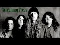 Screaming Trees  - disappearing -