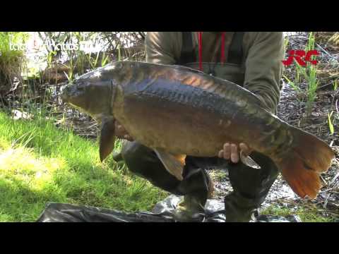 Tackle Fanatics TV - JRC Essential Tactics - Baiting Applications