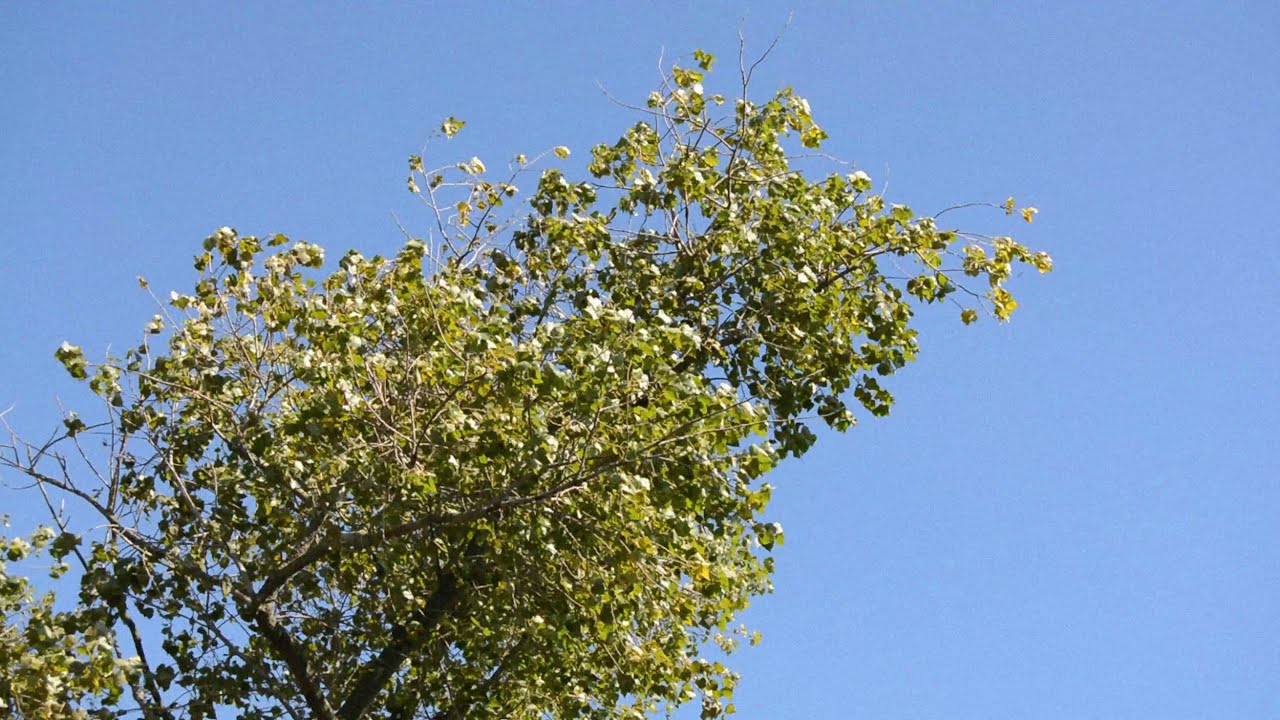 Ekvilibrium - Short Film 2021