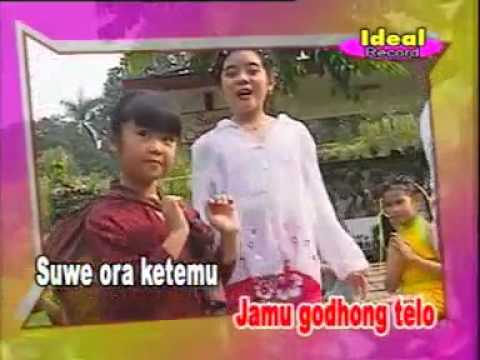 download lagu mp3 mp4 Download Lagu Anak anak Suwe Ora Jamu, download lagu Download Lagu Anak anak Suwe Ora Jamu gratis, unduh video klip Download Lagu Anak anak Suwe Ora Jamu