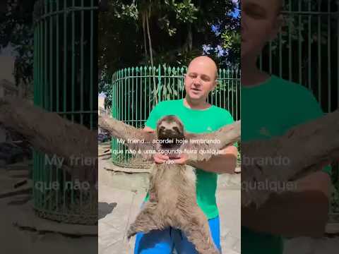 My friend… acordei hoje lembrando que não é uma segunda-feira qualquer não #preguicabm