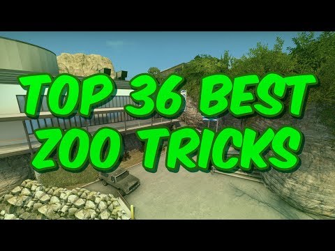 Steam Community :: Video :: Top 36 BEST ZOO TRICKS | CSGO