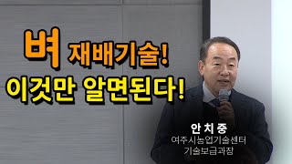 벼 재배기술 이것만 알면된다!
