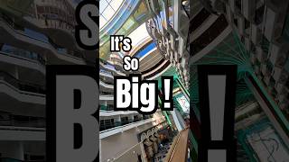 MSC World America: This Ship Is WILD!