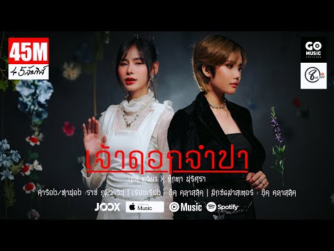 เจ้าดอกจำปา  ( ເຈົ້າດອກຈຳປາ ) - เมล ตวิษา x ตุ๊กตา นริศรา - (แปดแสนซาวด์ x Go Music Thailand x JOOX)