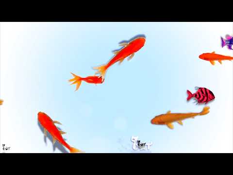 Video for cat with goldfish Videos for Cats to Watch Entertainment Video for Cats to Watch fish