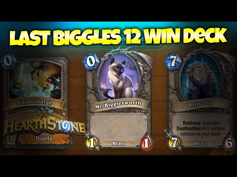 The First AND Last Ever 12 Wins Duels Run w/ Mr. Biggleworth | Zalae