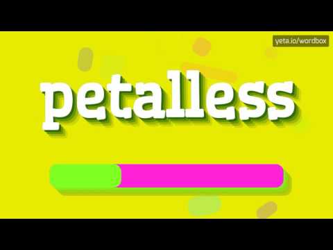 PETALLESS - HOW TO PRONOUNCE IT!?