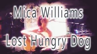Mica Lee Williams - Lost Hungry Dog