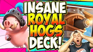 INSANE ROYAL HOGS DECK CRUSHING the META!