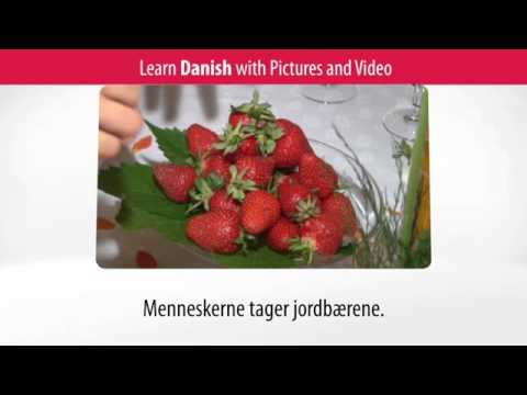 Learn Danish Vocabulary with Pictures and Video - Top 20 Danish Verbs 3