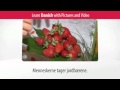 Learn Danish Vocabulary with Pictures and Video - Top 20 Danish