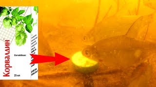 Приманка для карася с корвалолом