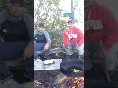 Desde mí pago Feliciano entre rios llegan estás postales al canal gracias amigo Dani Fernández