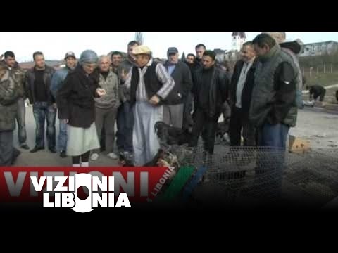 Gezuar se bashku me Qumilin   Humor 6