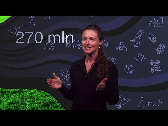 How Dutch culture affects bringing science to market | Eline van Beest | TEDxBoerhaavedistrictStudio