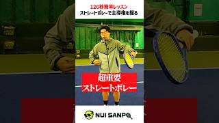 【忙しい人向けテニスレッスン】大事な事なので1回しか言いません。ファーストボレーのストレートは超重要です〈ぬいさんぽテニス（Tennis）〉 #テニス #テニスレッスン #tennis #ぬいさんぽ