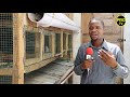 Malembo Farm Biashara Ya Mkojo Wa Sungura Inavyotajirisha Vijana Nyama Ngozi Kinyesi Vyote Deal